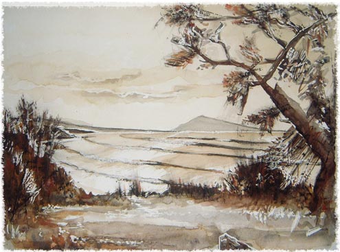aquabidart Guéthary Parlementia depuis Bidart - François Lehir 2012
